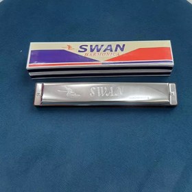 تصویر ساز دهنی سوان 