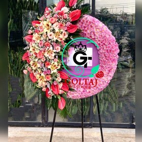 تصویر تاج گل شبدیس 