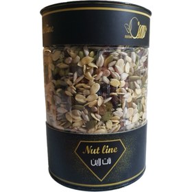 تصویر آجیل سالاد - 600 گرم 