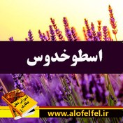 تصویر اسطوخدوس (کیلویی) 