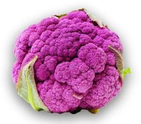 تصویر بذر گل کلم بنفش 