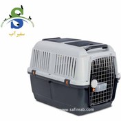 تصویر باکس حمل سگ رها سایز 6 