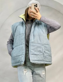 تصویر پافر دو رو 