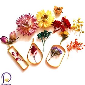 تصویر گل خشک مخلوط 