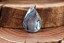 تصویر نگین اشکی صدف آبالون 