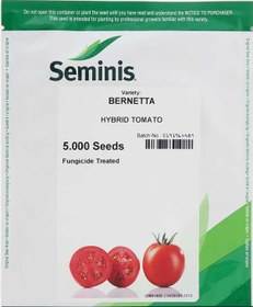 تصویر بذر گوجه فرنگی برنتا bernetta hybrid tomato seminis