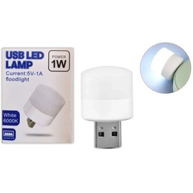 تصویر لامپ LED USB کوچک Flood Light 1W 
