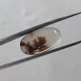 تصویر عقیق شجر قائن اصل کد 2 