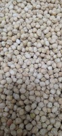تصویر نخود کرمانشاه Kermanshah chickpeas