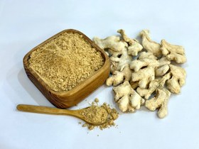 تصویر قلم زنجبیل ادویه