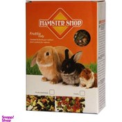 تصویر غذای آجیلی جونده همستر شاپ وزن 1 کیلوگرم 