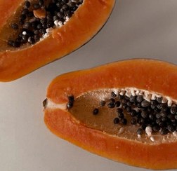 تصویر پاپایا ردلیدی هسته دار 