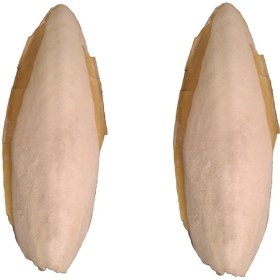 تصویر کف دریا کد M122 وزن 100 گرم 