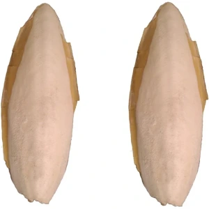 تصویر فروشگاه خانه پرندگان