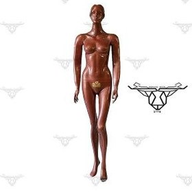 تصویر مانکن زنانه مسیDR-M79 