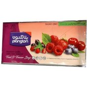 تصویر کیسه فریزر پلانگتون 100برگی کد 52 