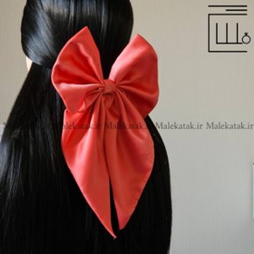 تصویر گلسر پاپیون 