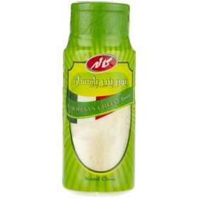 تصویر پنیر پارمسان ۸۰ گرمی 