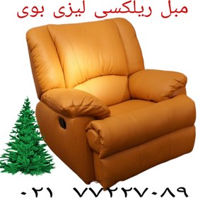 تصویر مبل ریلکسی برقی جک خور مخصوص سالمندان Lazy boy Medical LIFT UP Recliner Chair for elderly