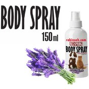 تصویر اسپری ضد عفونی کننده و تمیز کننده رداسپرینگ مدل Body Spray رایحه لاوندر حجم 150 میلی‌لیتر اسپری ضد عفونی کننده و تمیز کننده رداسپرینگ مدل Body Spray رایحه لاوندر حجم 150 میلی‌لیتر