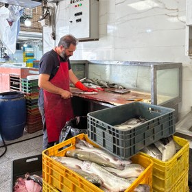 تصویر ماهی قزل آلا ۶۰۰ گرمی 