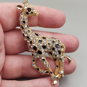 تصویر گل سینه زرافه 