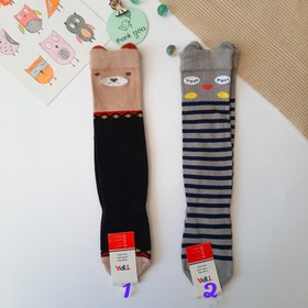 تصویر زیرزانوی حیوانات ۲ تا ۵ سال 