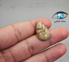 تصویر سنگ جاسپر منظره اشکی 2.5 گرم 