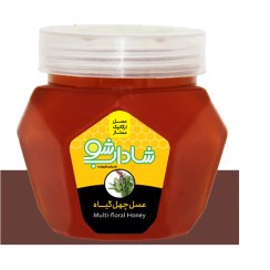 تصویر عسل چهل گیاه 1 کیلوگرم 