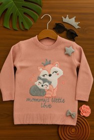 تصویر بافت دو روباه دخترانه 