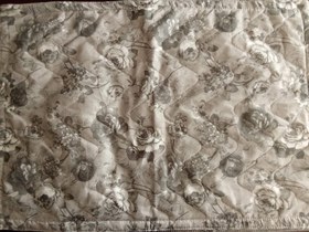 تصویر رو بالشتی 