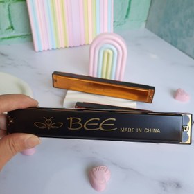 تصویر ساز دهنی بزرگ 