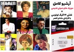 تصویر آرشیو گلچین شده موزیک های صوتی قدیمی ایرانی + فلش ۶۴ گیگ با گارانتی مادام العمر 