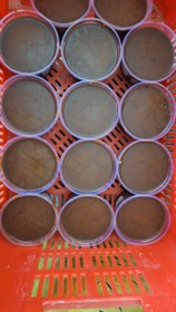 تصویر قره قوروت (قارا)؟ 