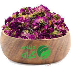 تصویر گل محمدی 