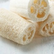 تصویر بذر گیاه لوفا (لیف طبیعی) 5 عددی 