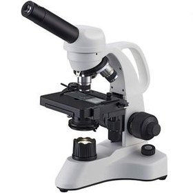 تصویر میکروسکوپ برسر مدل زیستی برسر x400 