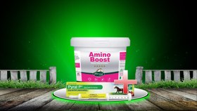 تصویر مکمل اسب آمینوبوست AMINO BOOST 