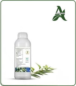 تصویر روغن اکالیپتوس 