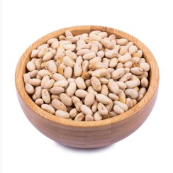 تصویر سویا آجیلی 