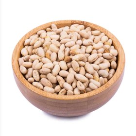 تصویر سویا آجیلی 