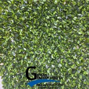 تصویر فنس برگ پرتقالی 