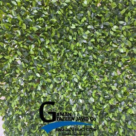 تصویر فنس برگ پرتقالی 