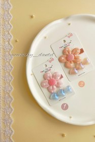 تصویر پک گیره انبری دو عددی 