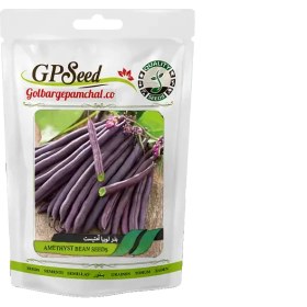 تصویر بذر لوبیا آمتیست(گلبرگ) 