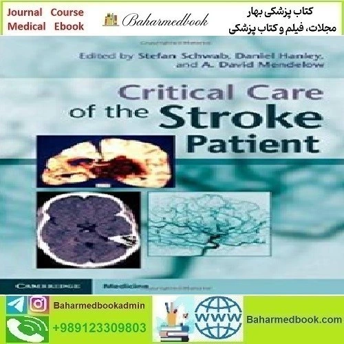 خرید و قیمت Critical Care of the Stroke Patient 2014 TRUE PDF price 1 ...
