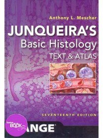 تصویر Junqueira's Basic Histology: Text and Atlas, Seventeenth Edition 17th Edition 2024 بافت شناسی جان کوییرا 2024