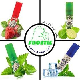 تصویر اسپری خوشبو کننده دهان و دندان فروستی مدل نعناع قوی مجموعه 25عددی Frostie 