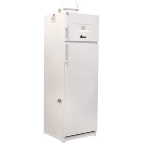 تصویر آبگرمکن گازی ایران شرق مدل Yekta کد 190 