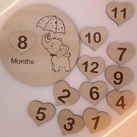 تصویر دیسک ماهگرد کودک تاتی ۲ 